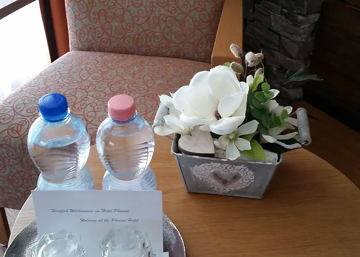 凤凰酒店 酒店 采尔马特