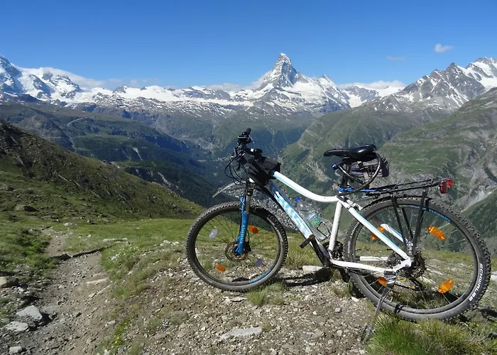 凤凰酒店 采尔马特