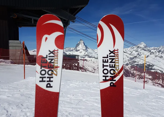 酒店 凤凰酒店 3*